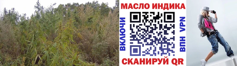 мега ссылка  купить   Кизел  Дистиллят ТГК жижа 